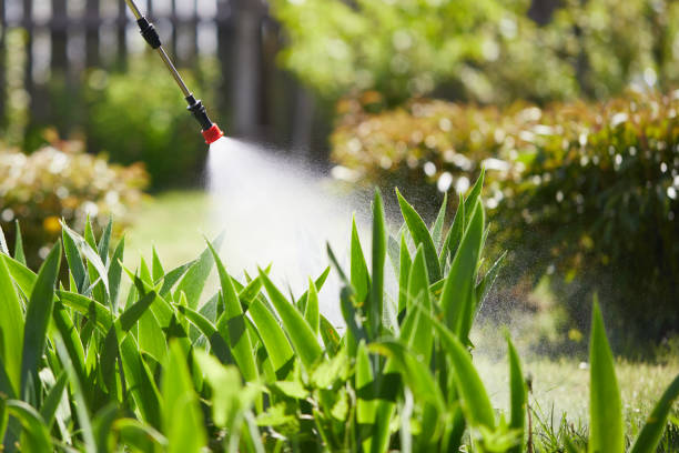 24/7 Emergency Ant Control experts in South Roxana, IL